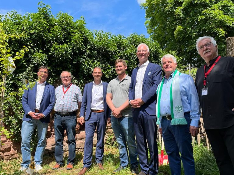 Ein Weimarer Ginkgo für die